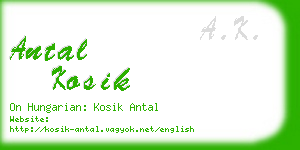 antal kosik business card